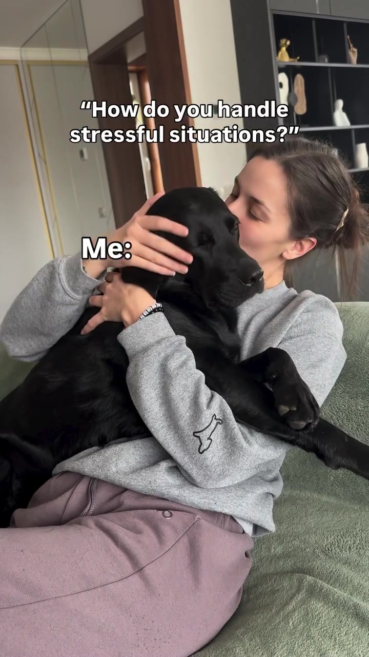 @lisatheblacklab