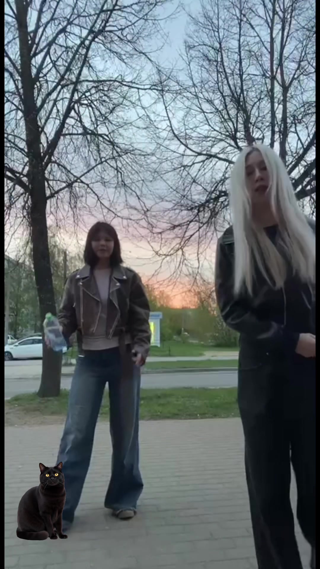 @ddossha