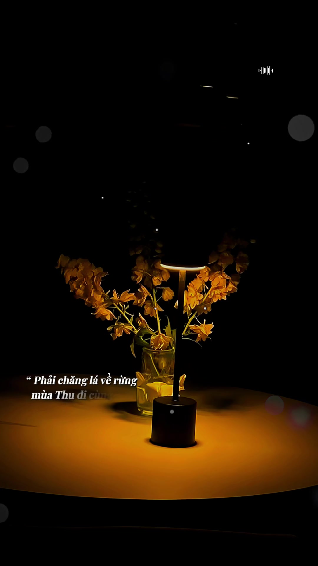 @🎶Góc Phố Âm Nhạc 🇻🇳