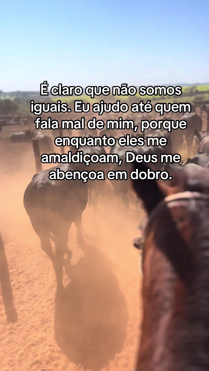 @Vitor Marques