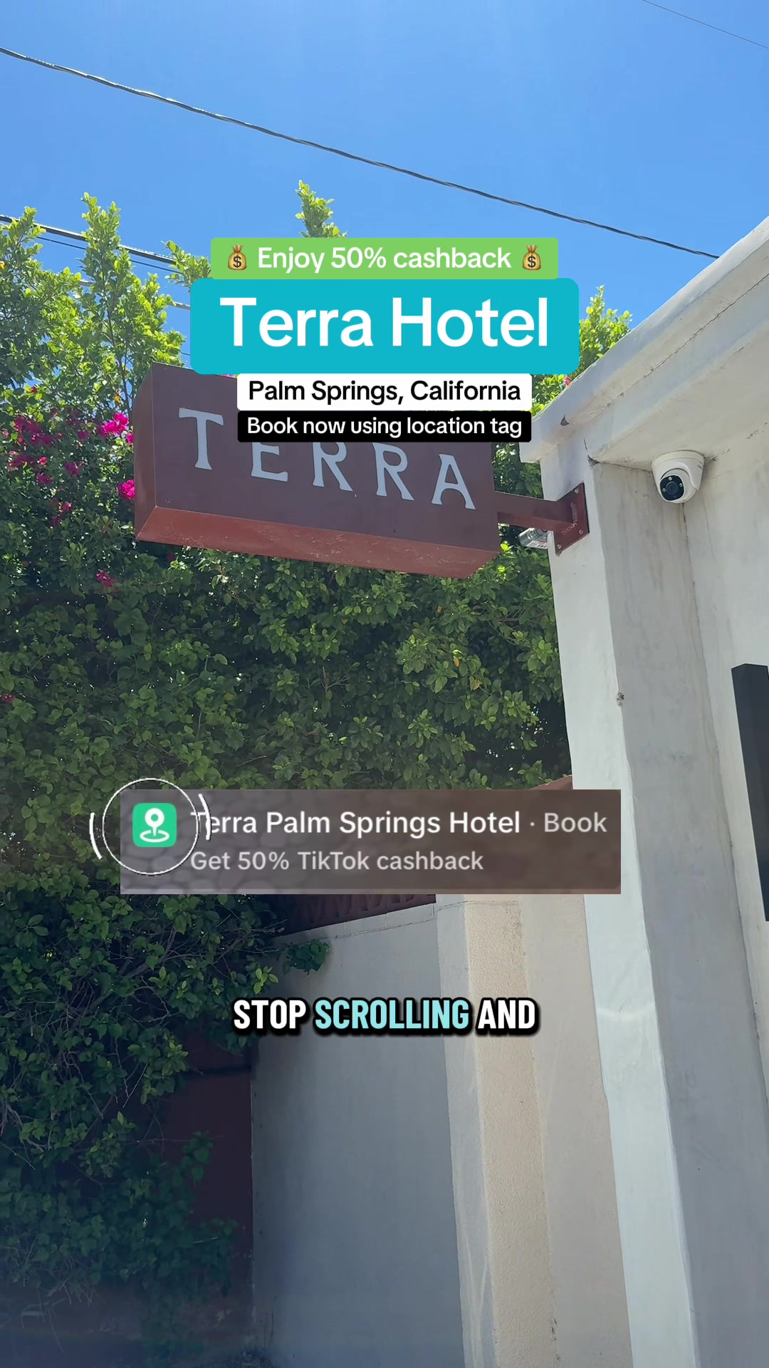 @Trip Kingdom | Travel Deals