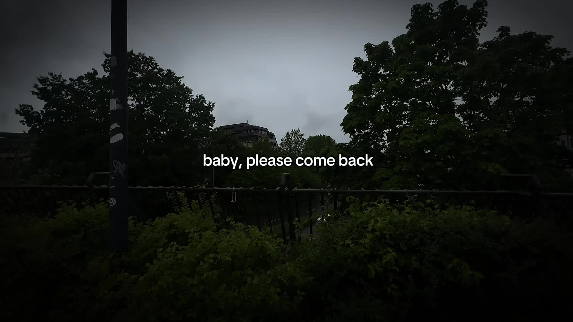 @Vine.l1