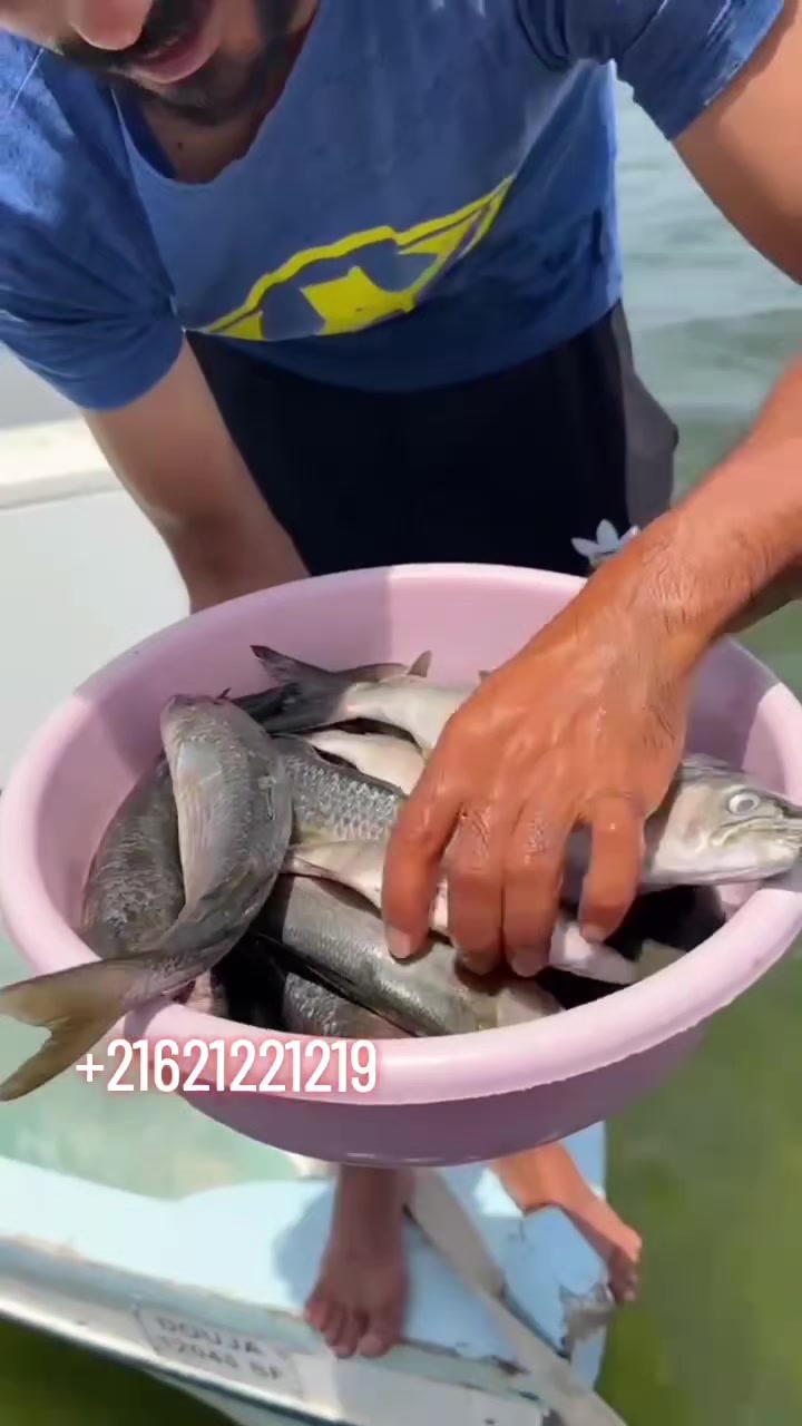 @صفاقس بين ايديك