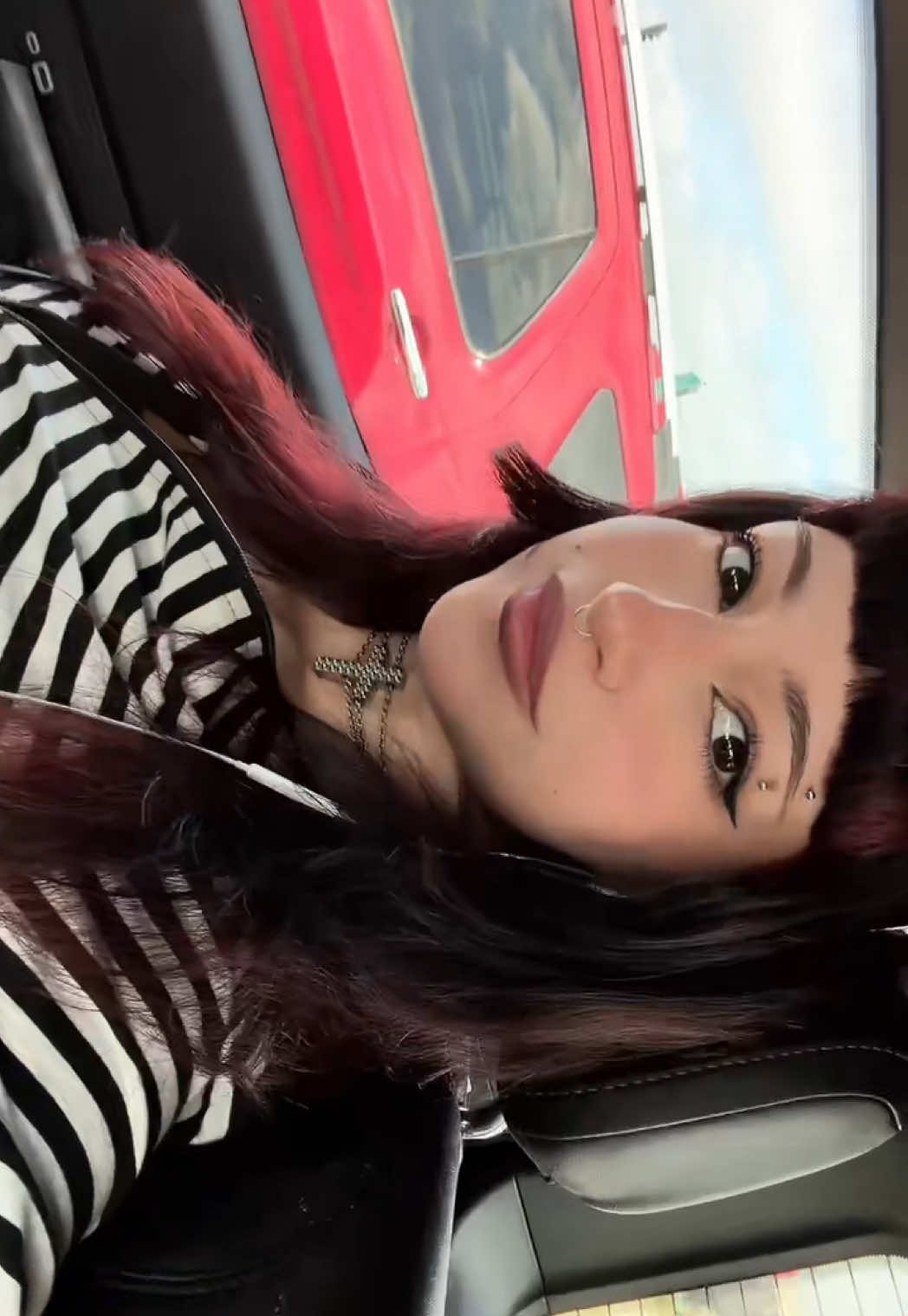 @alejandra
