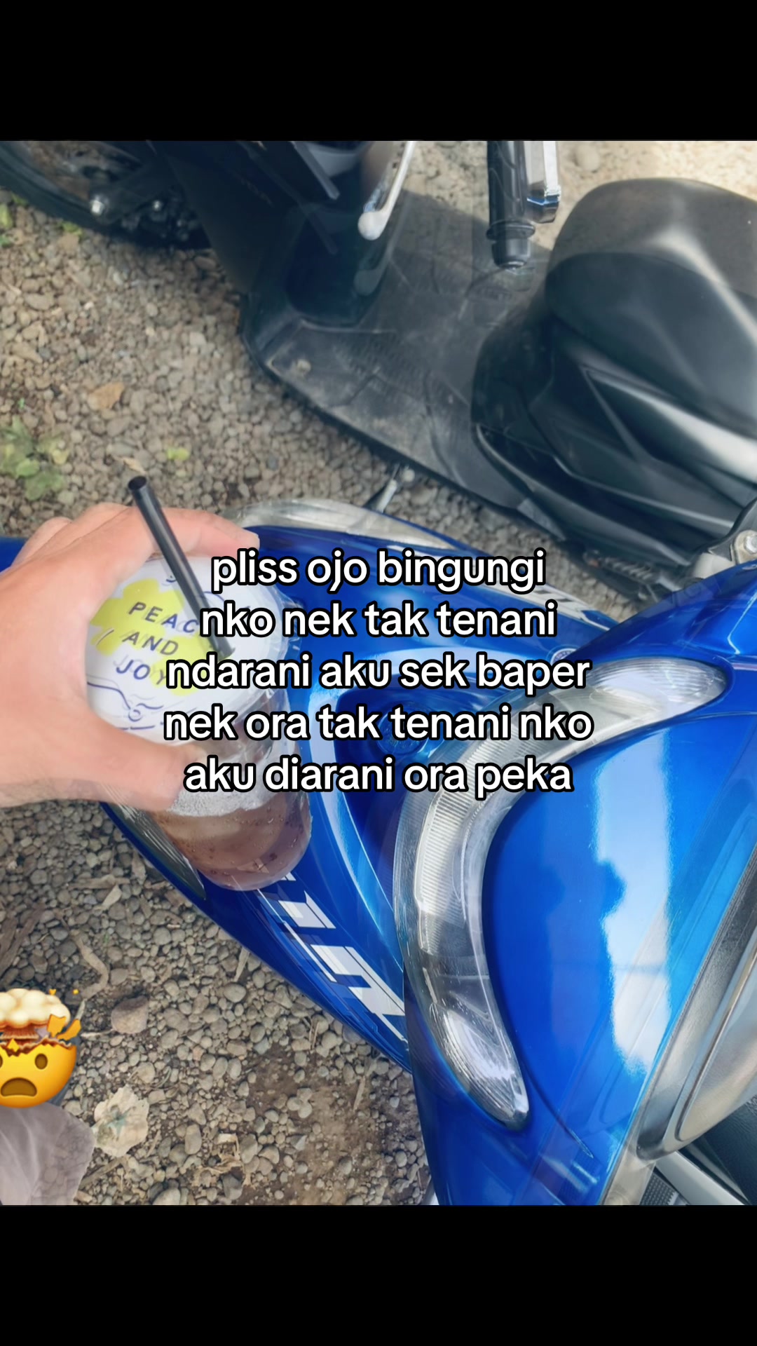 @Mio Sambeng🚀