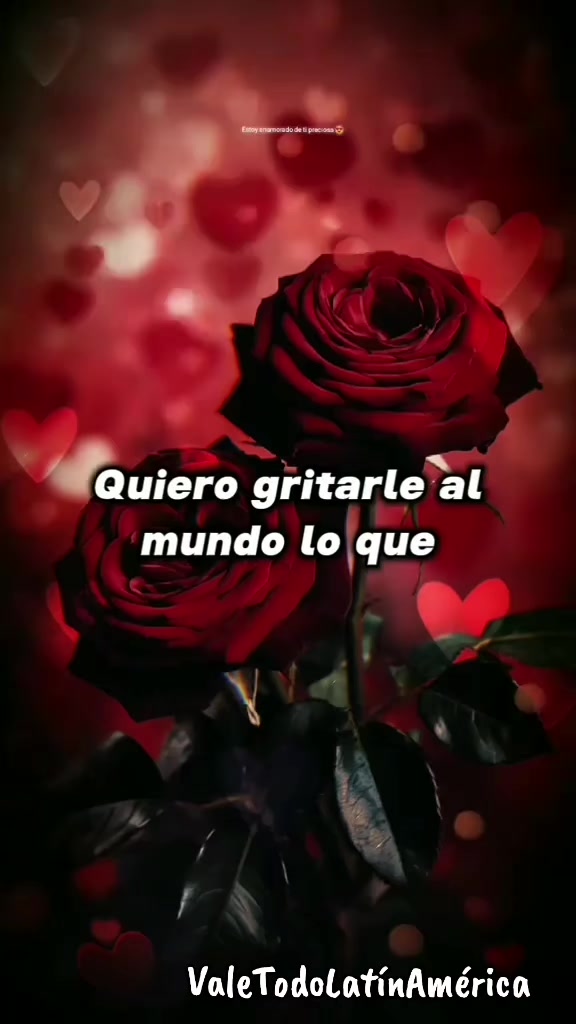 @ValeTodoLatinAm&eacute;rica