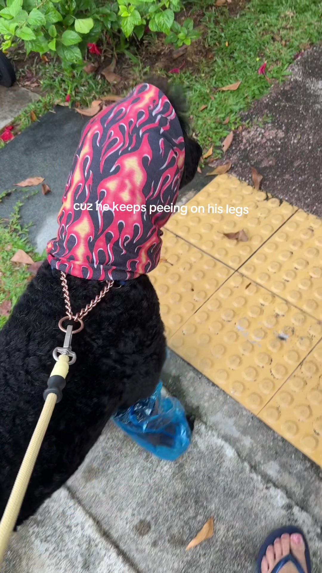 @Boobooraw
