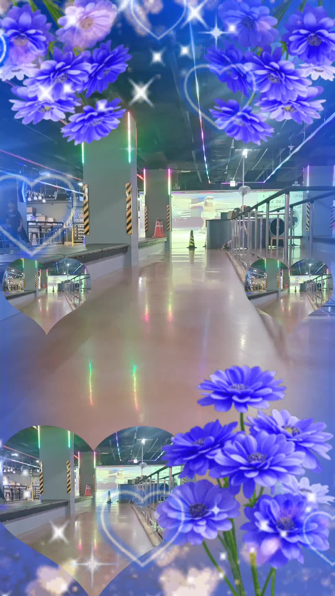 @롤러시연나연