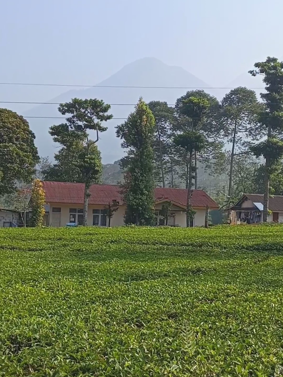 @jaka swara
