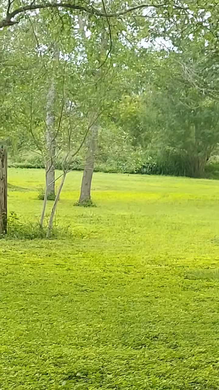 @ApAcheHope007
