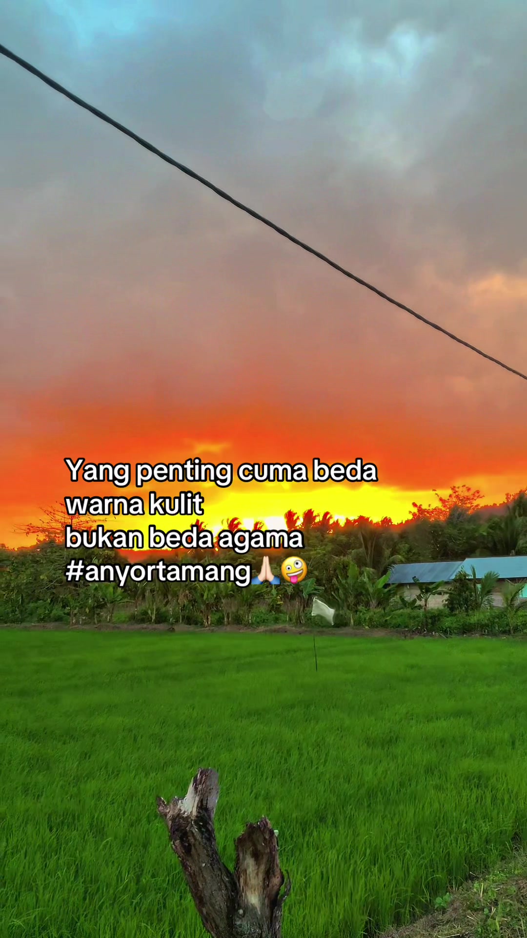 @sinarsnjya07