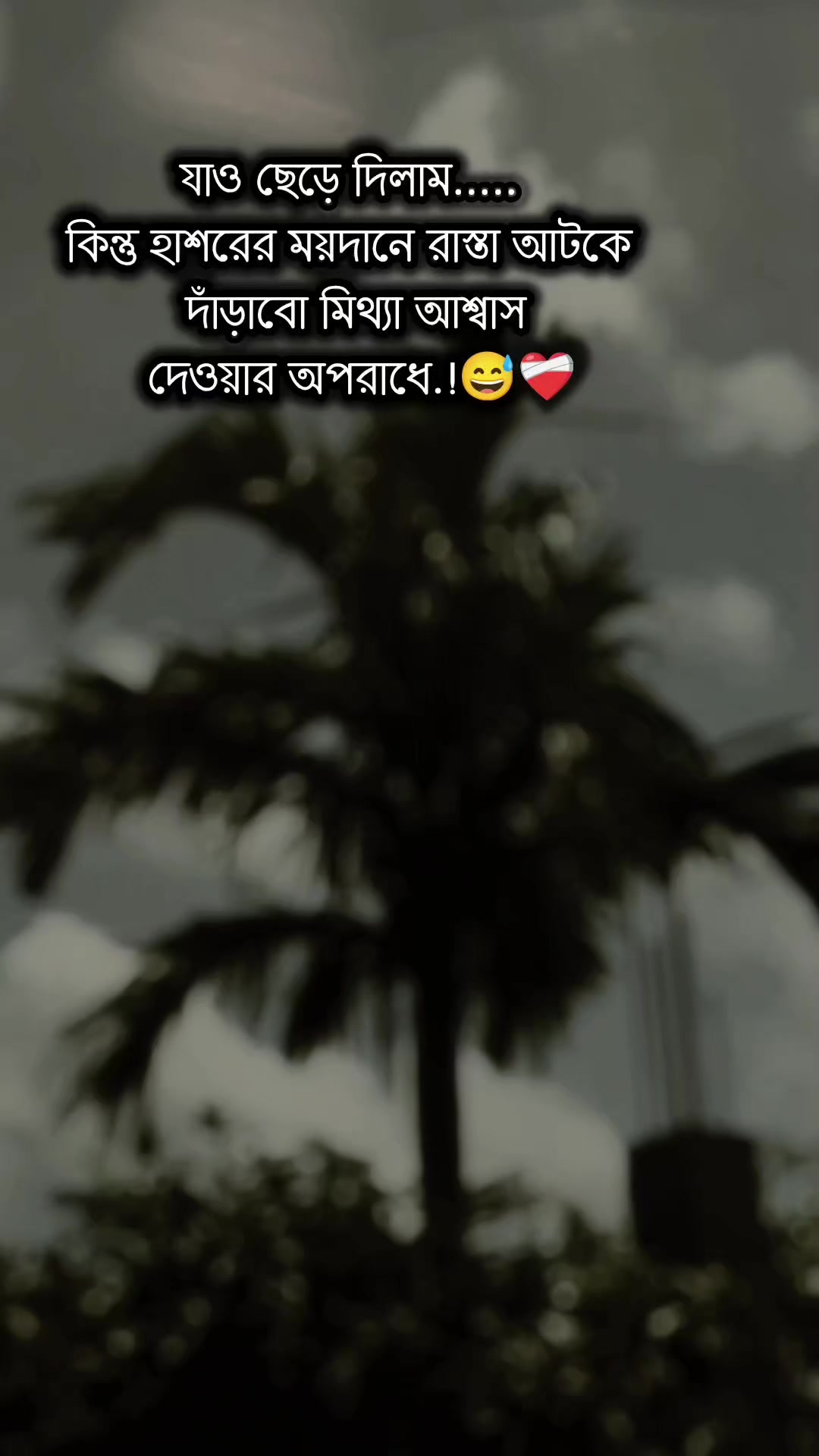 @কষ্টের রানী...🦋