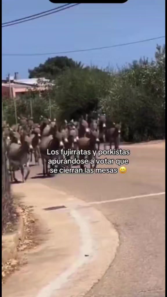 @👑Mi Yajhita🍀