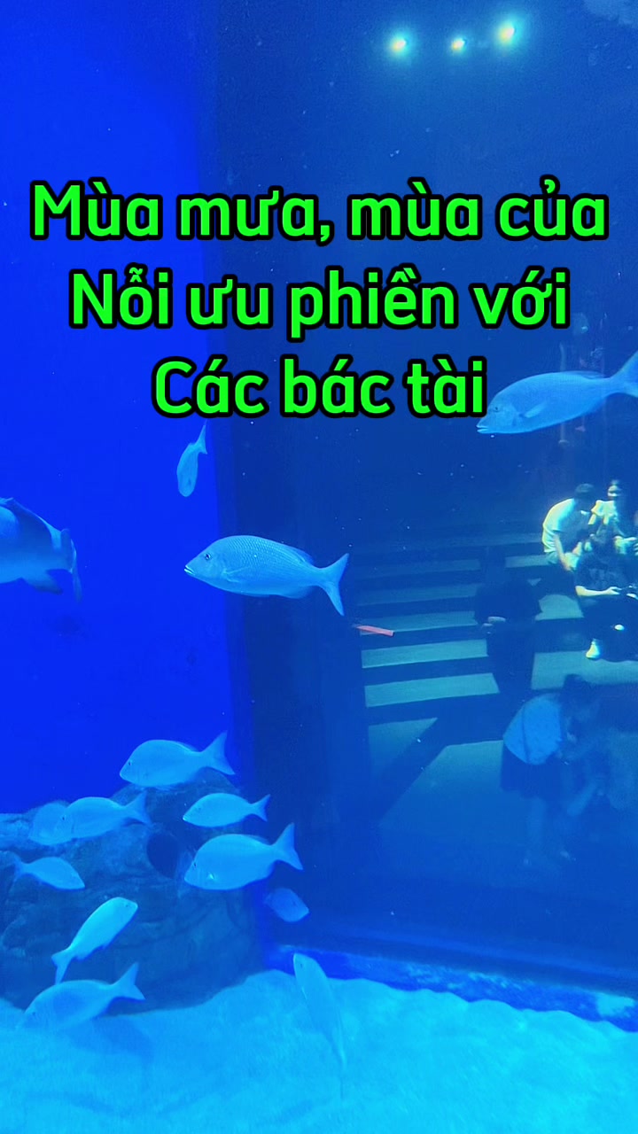 @Phụ kiện &ocirc; t&ocirc; Ho&agrave;ng B&aacute;ch