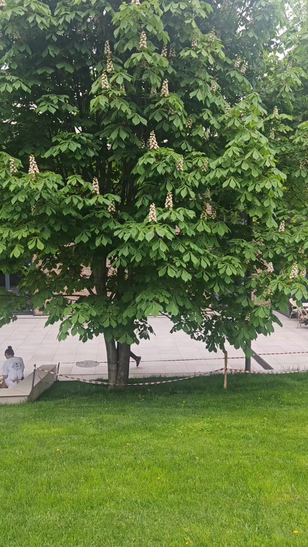 @Айга