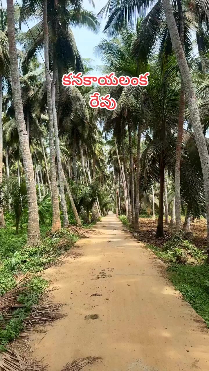 @😘🅁🄰🄼🅄😘బట్టెలంక కుర్రోడు