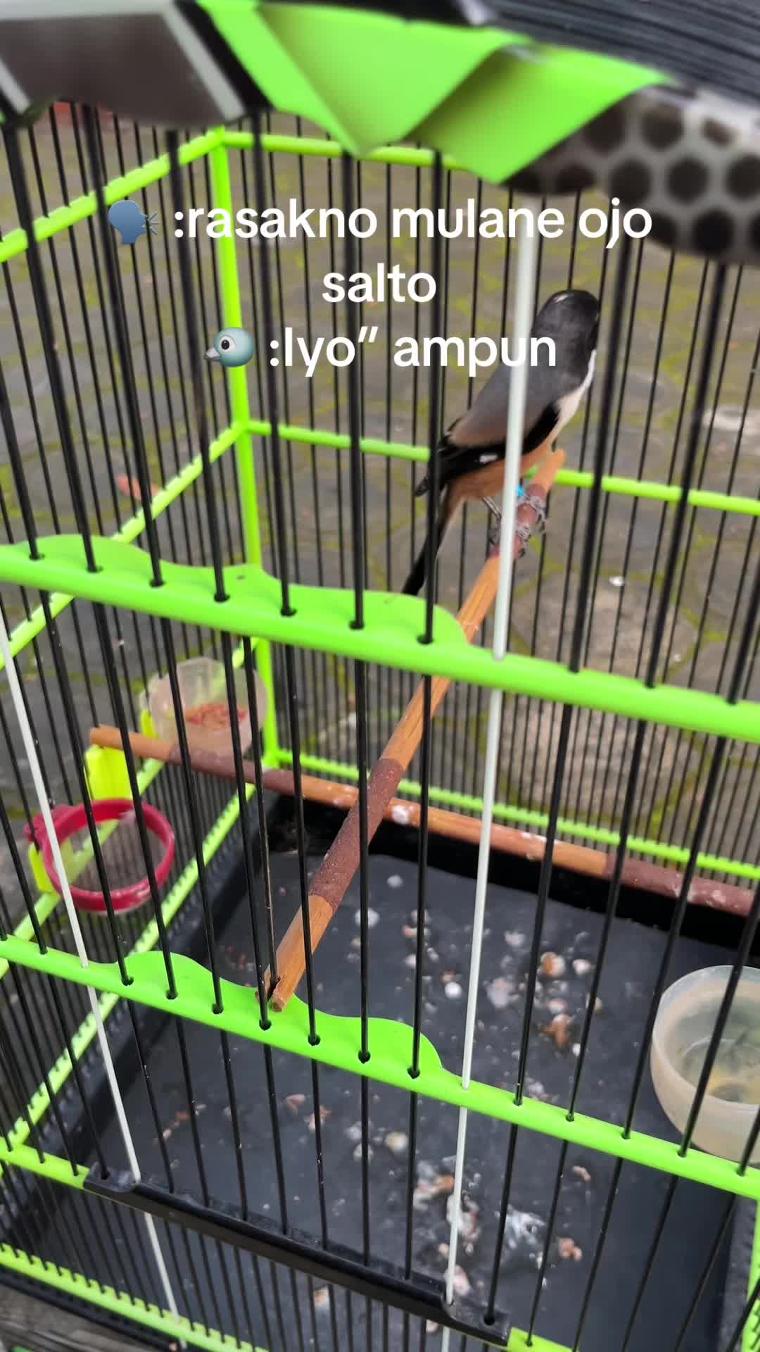 @Ahmad