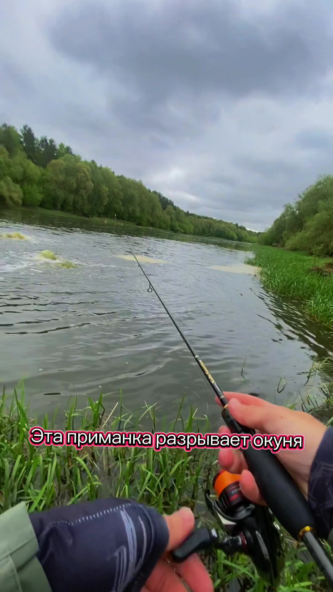 @Ace.fishing