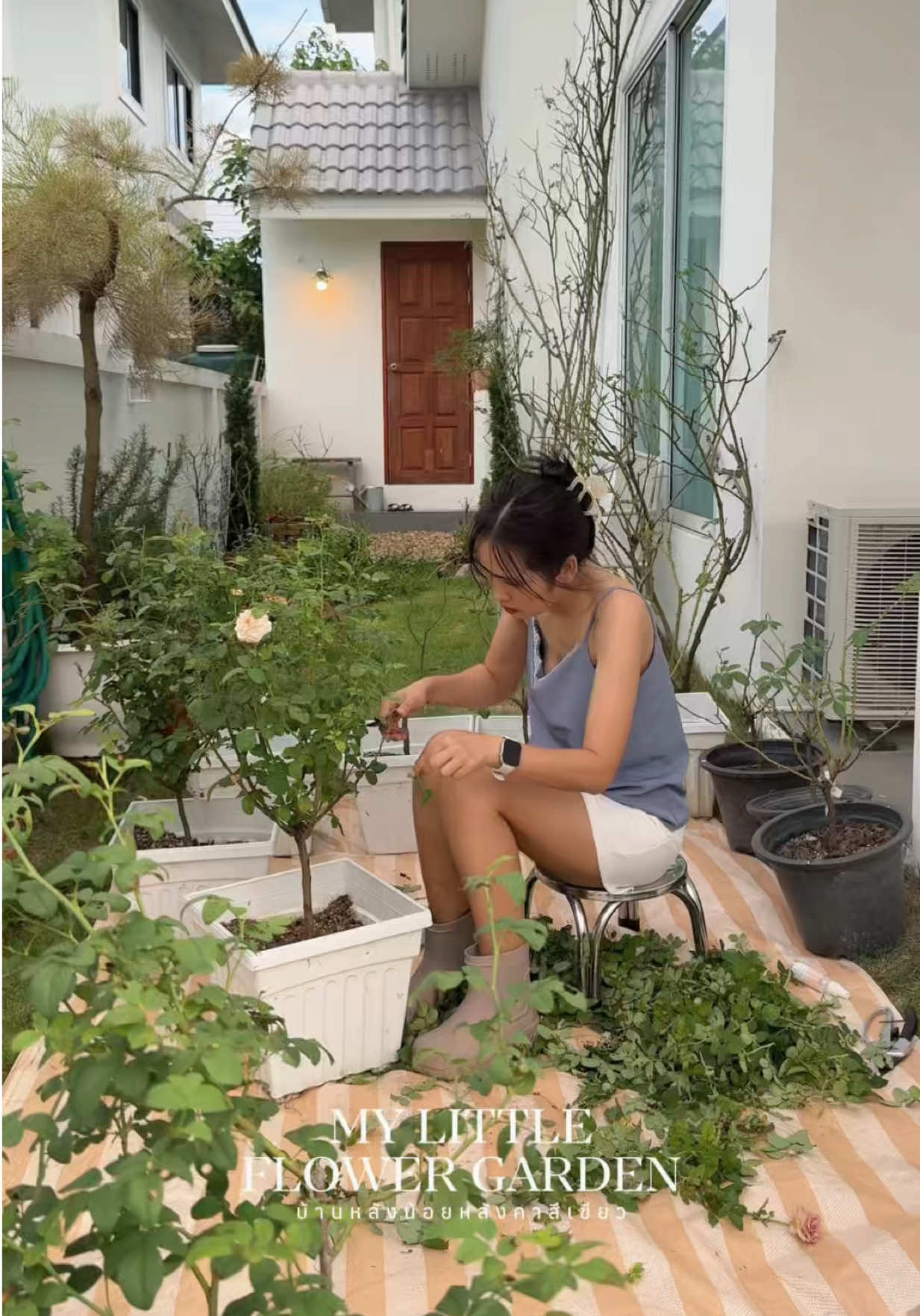 @บ้านหลังน้อยหลังคาสีเขียว