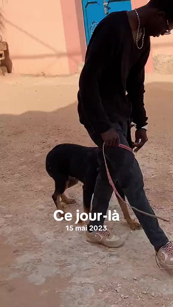 @Momoparleauxchiens🇸🇳🇩🇪