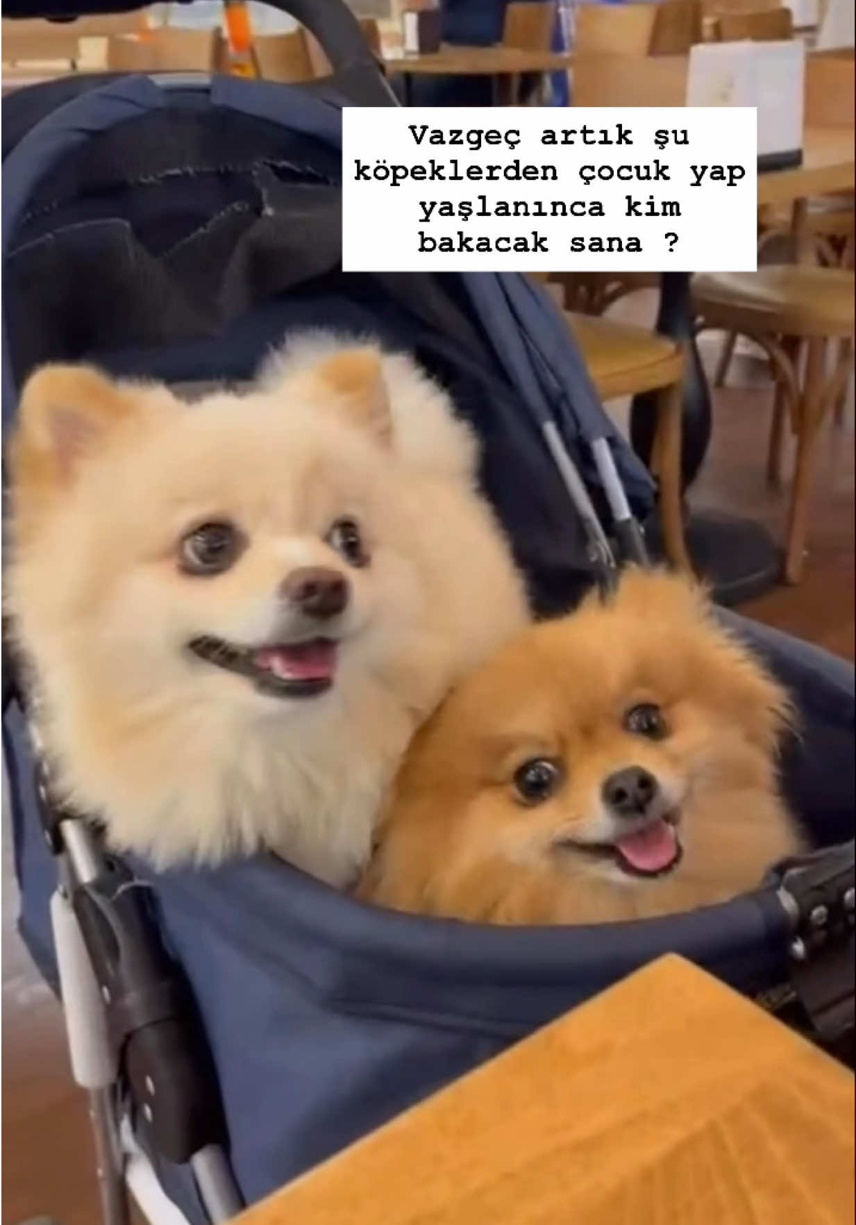 @𝐏𝐞𝐥𝐝𝐚💋