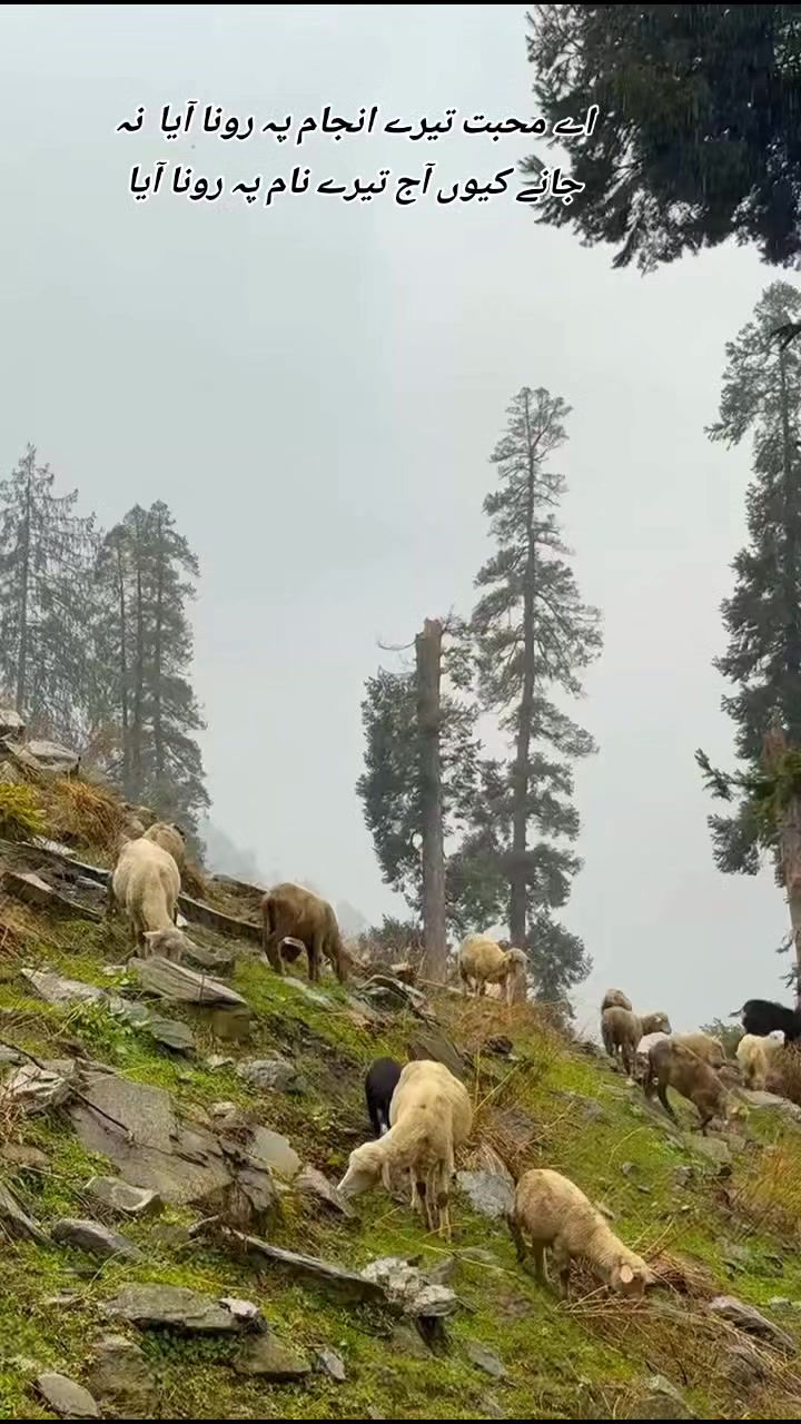 @💫❤️🔥دل کا بادشاہ❤️🔥💫