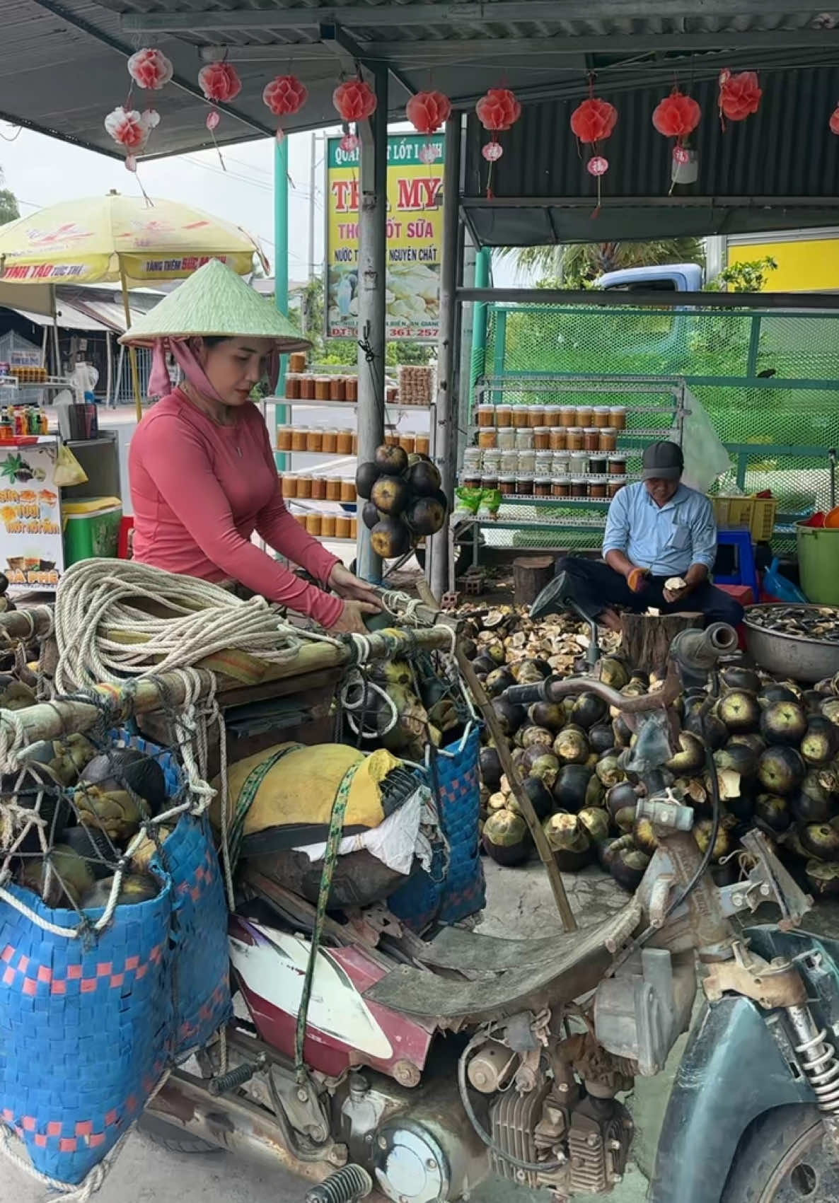 @Thốt nốt trà my