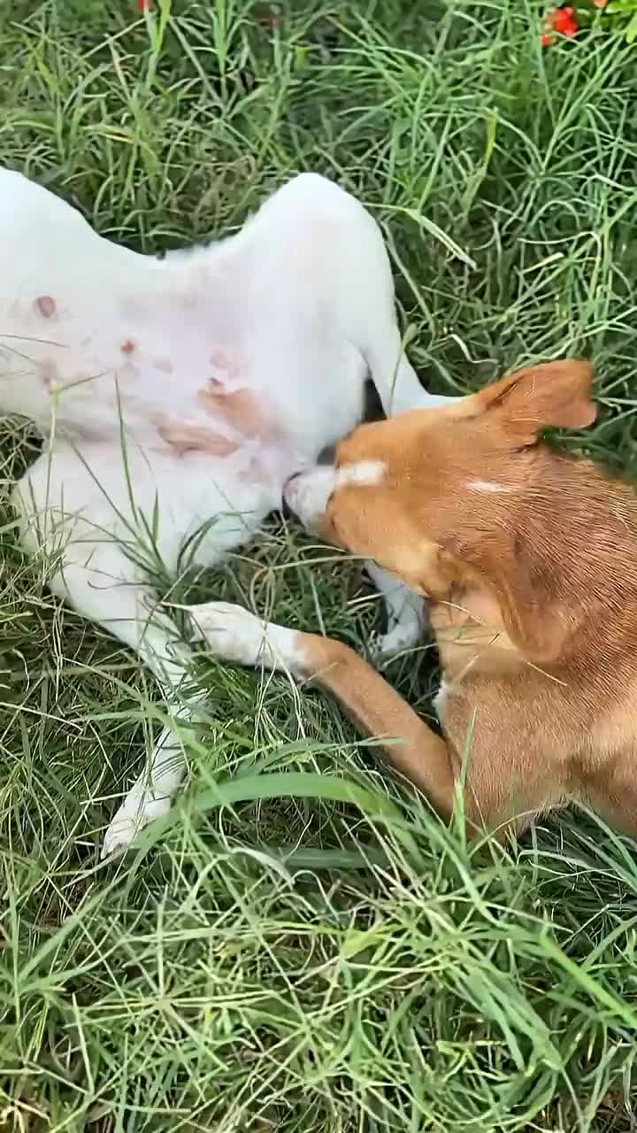 @ehehdhdhd
