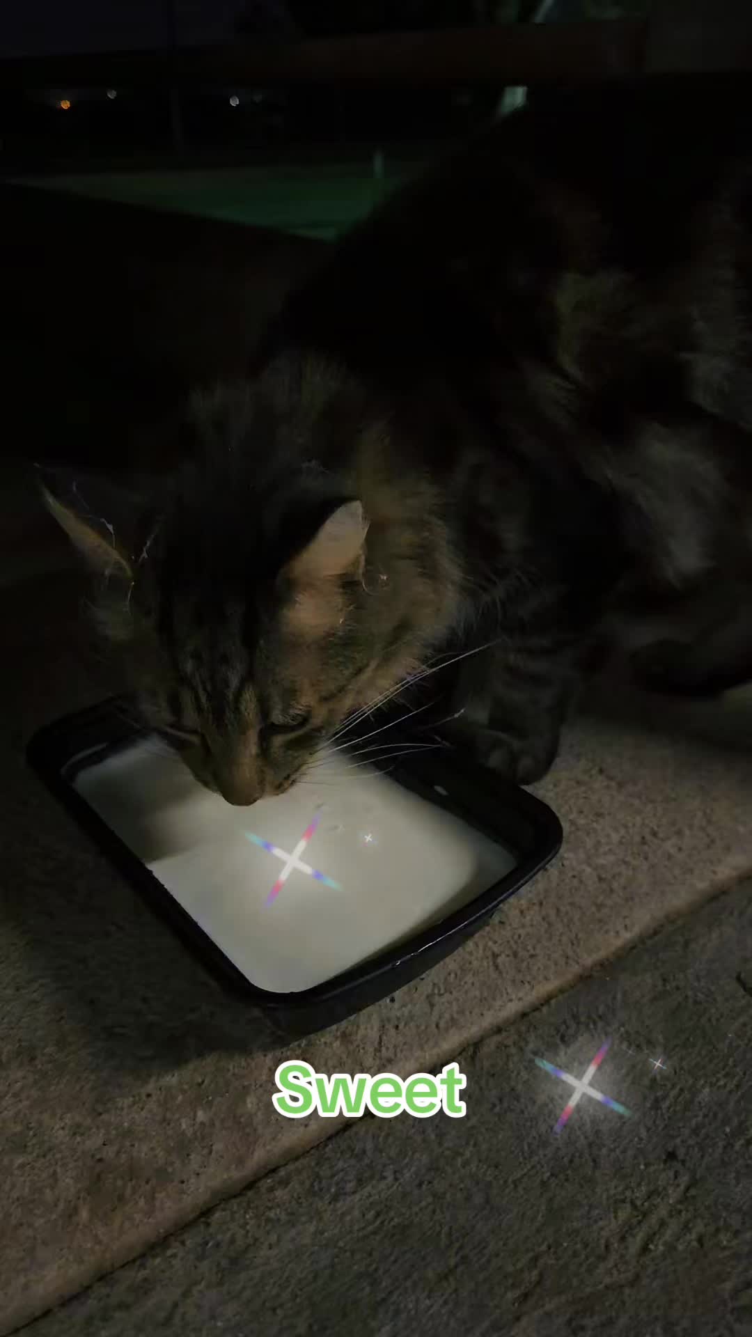 @Amri Gatitos