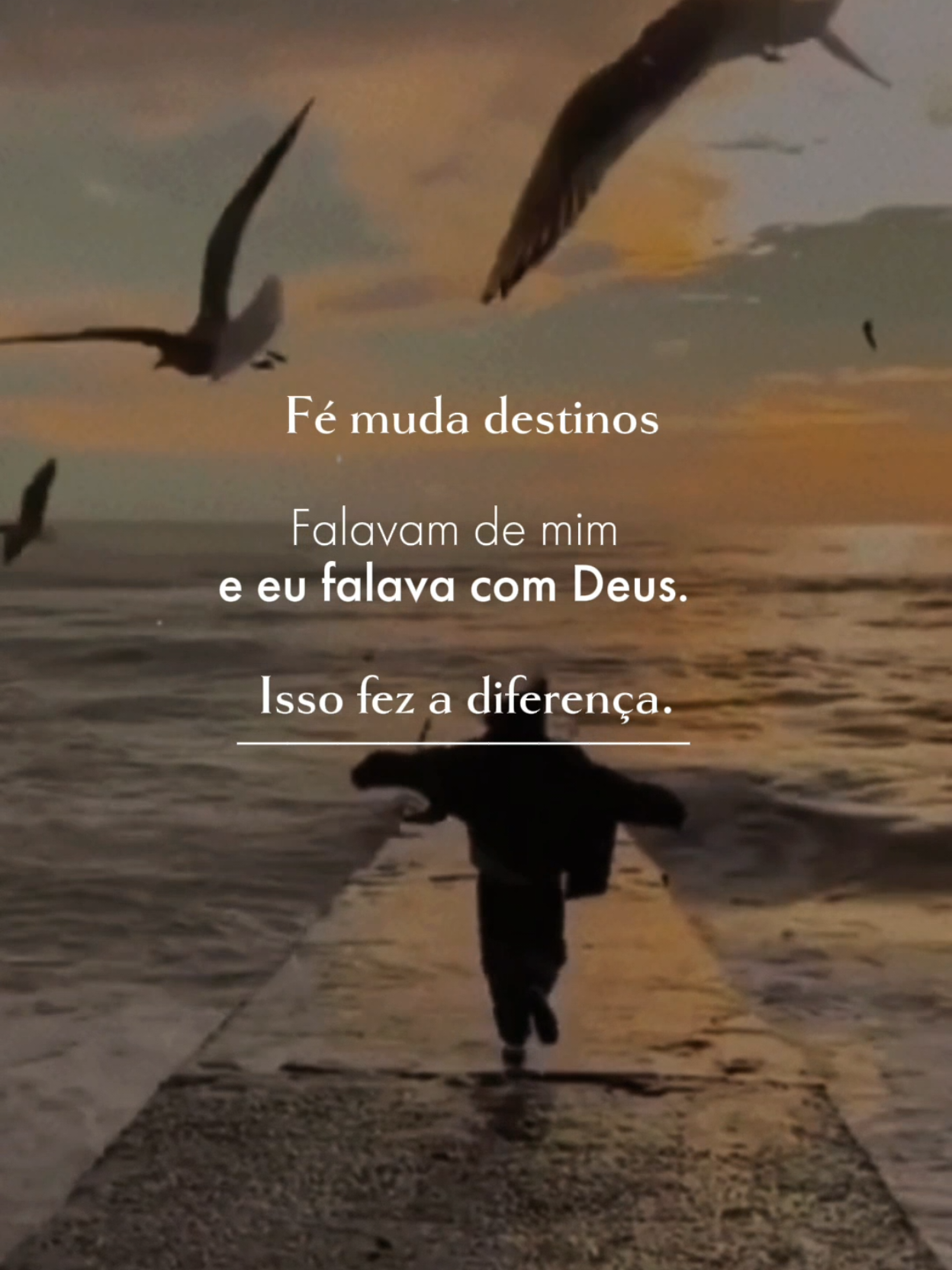 @Paz em Foco