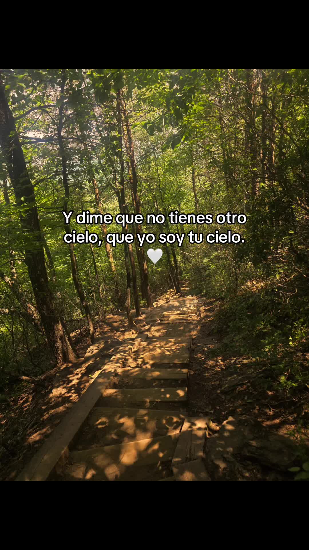 @️🖤🔥 La T&oacute;xica 🔥😈