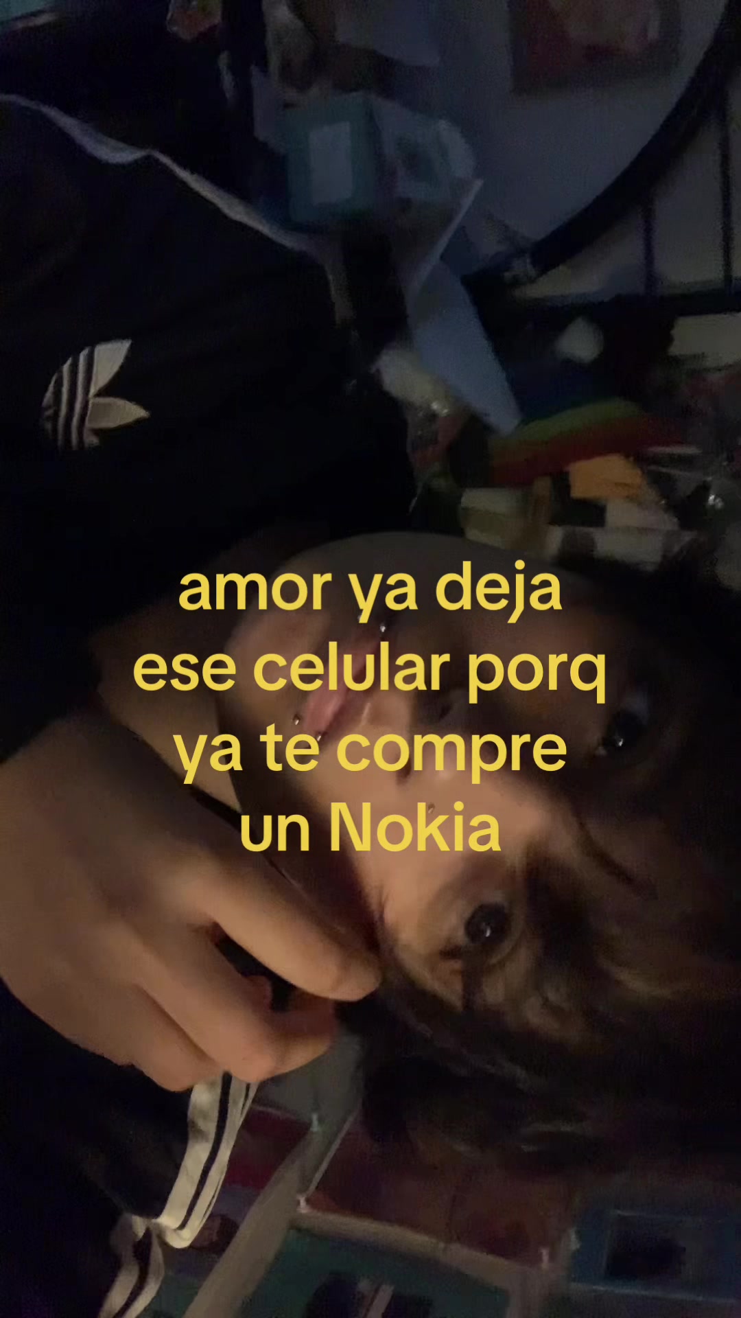 @sushiicat_