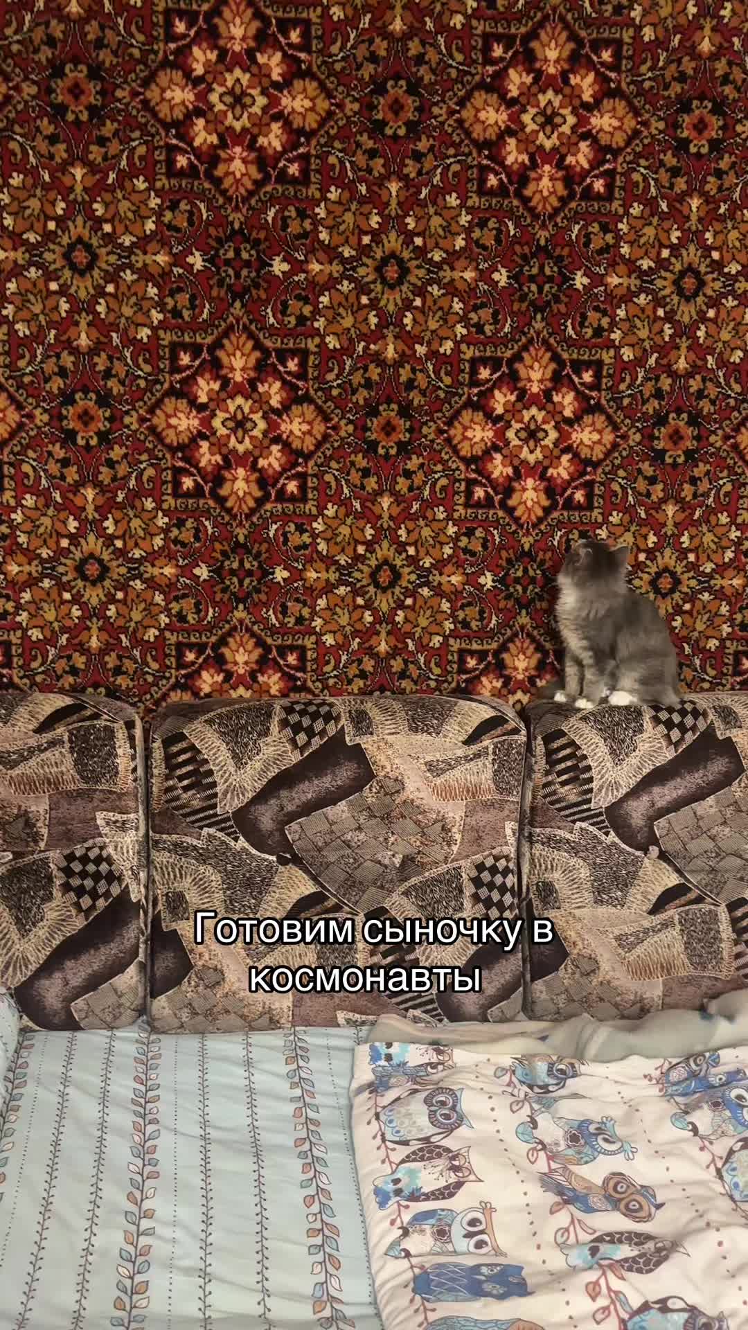@Жень-Шеневская