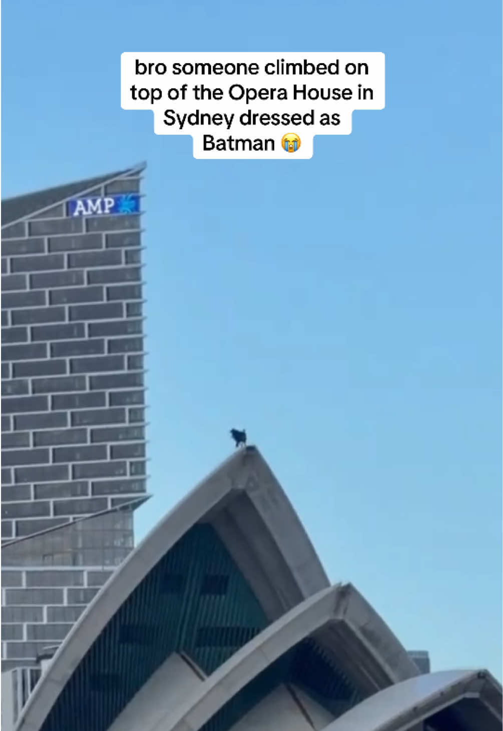 @Sydney Maxxing