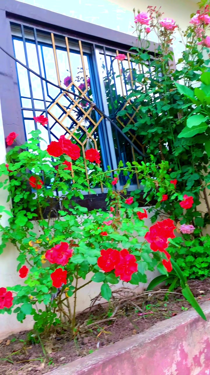 @$&oacute;&ntilde;&icirc;shah 👑Q&ucirc;ę3&ntilde; its [THUMB-<div class=