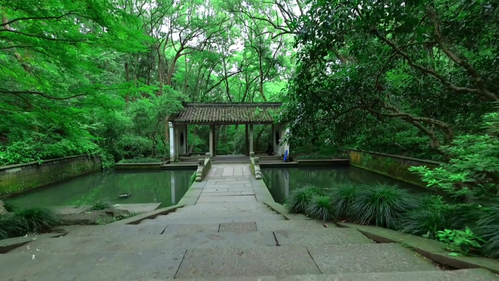 @Tuyết Lạc Sơn Trang