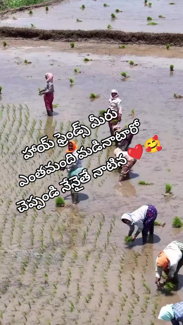 @💜reddy💜 gari 💜ammai💜pilaru