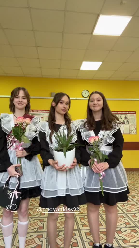 @тгк: yankiss ୨ৎ