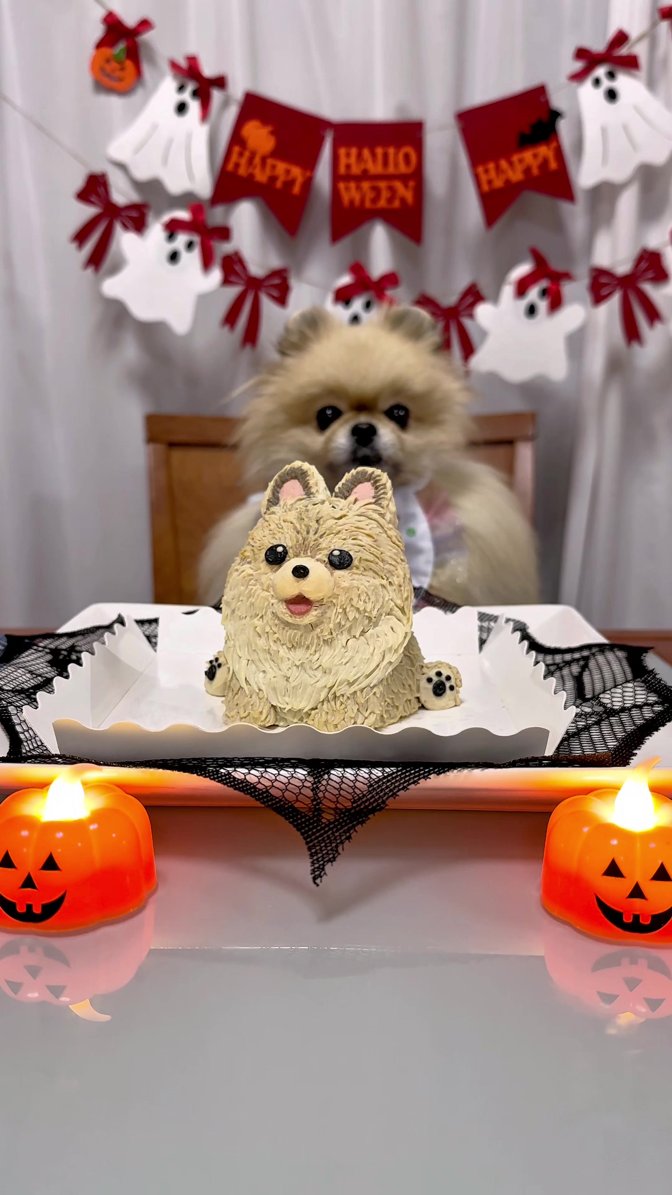 @🍬🎃ぽんちゃん🎃🍬