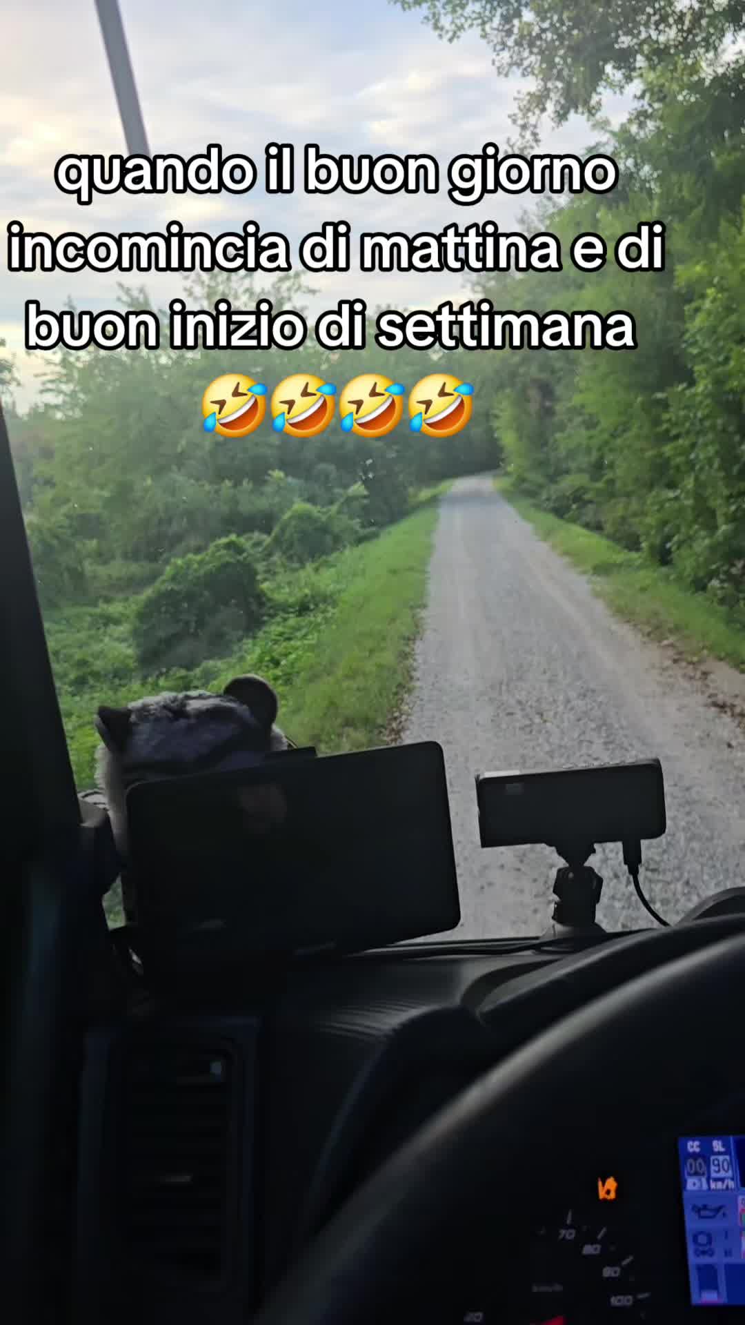 @Rosario Cannizzaro 77