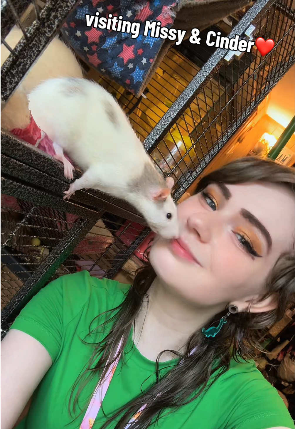 @lookatmyrodents