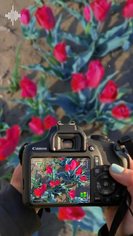 @🫶❤️💐💝