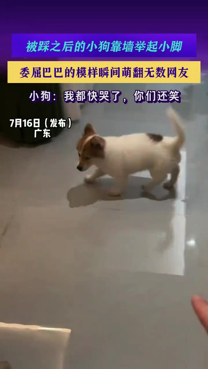 @林京一