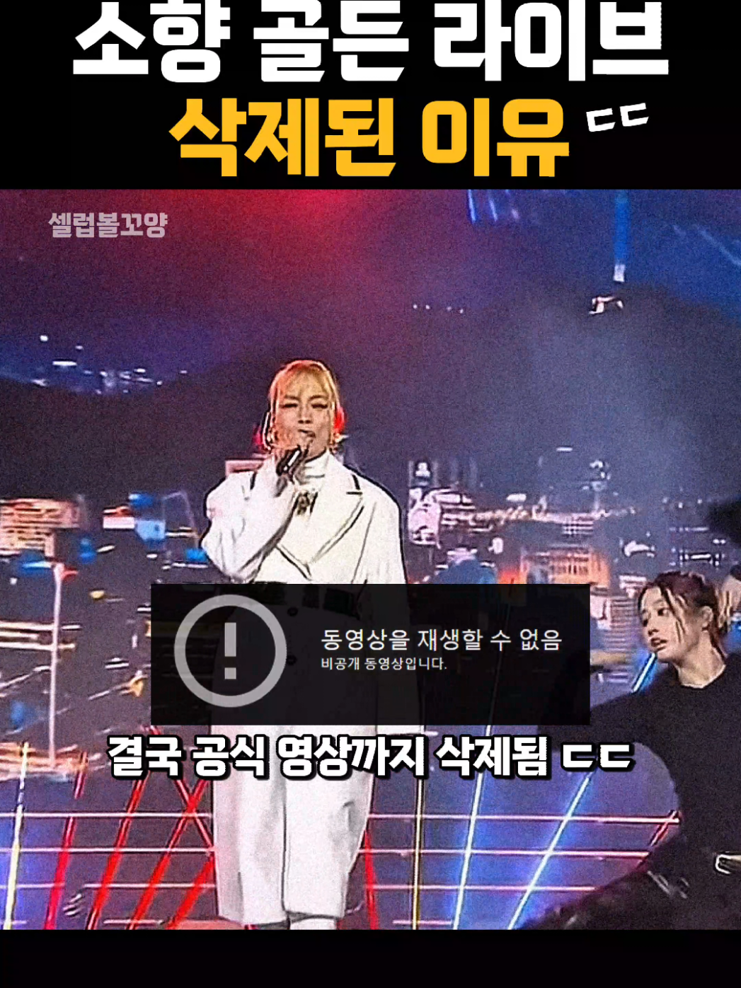 @셀럽볼꼬양