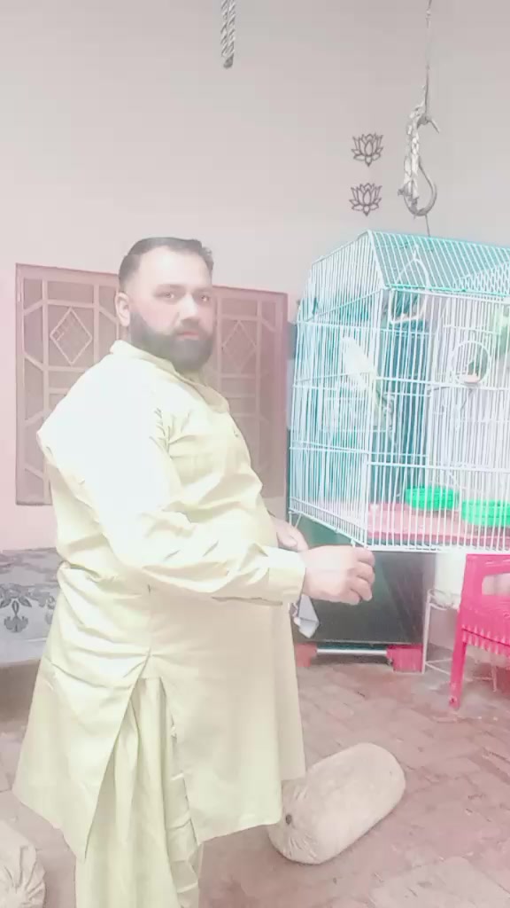 @amanat Kasai