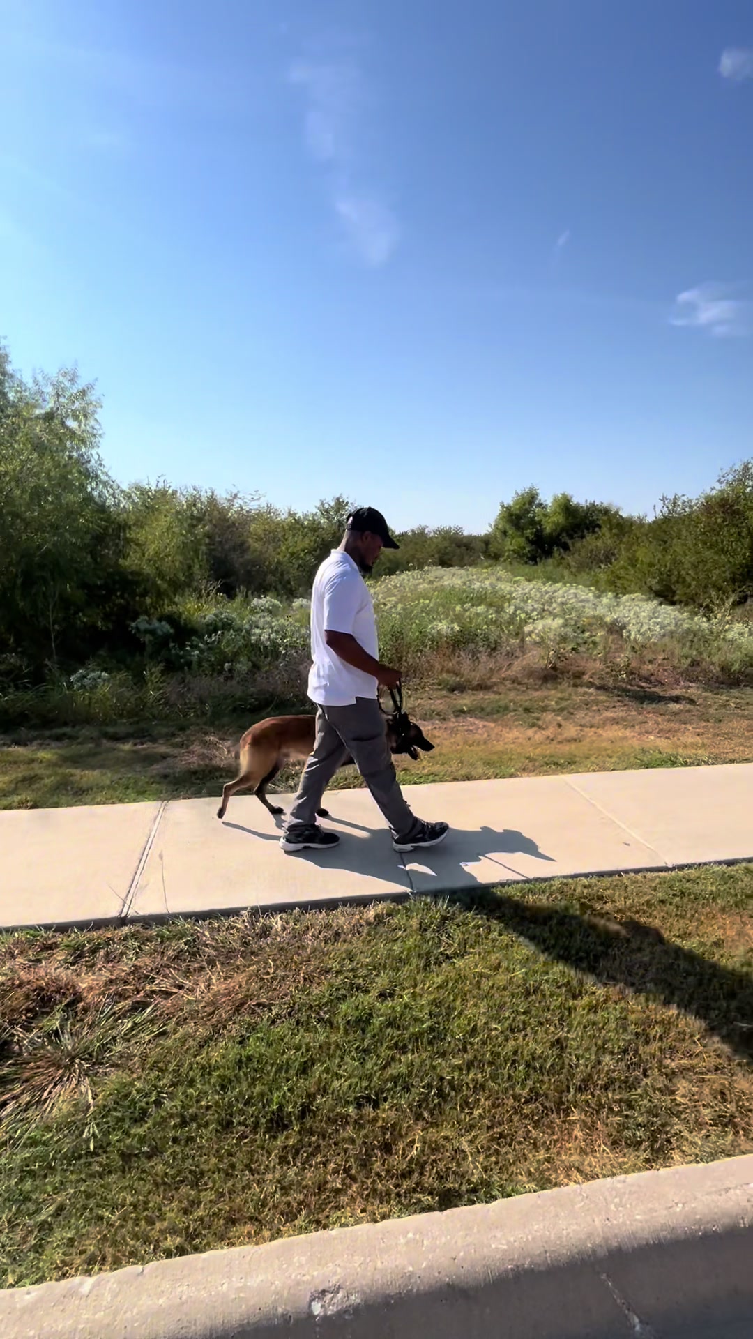 @HardBody K9 Training
