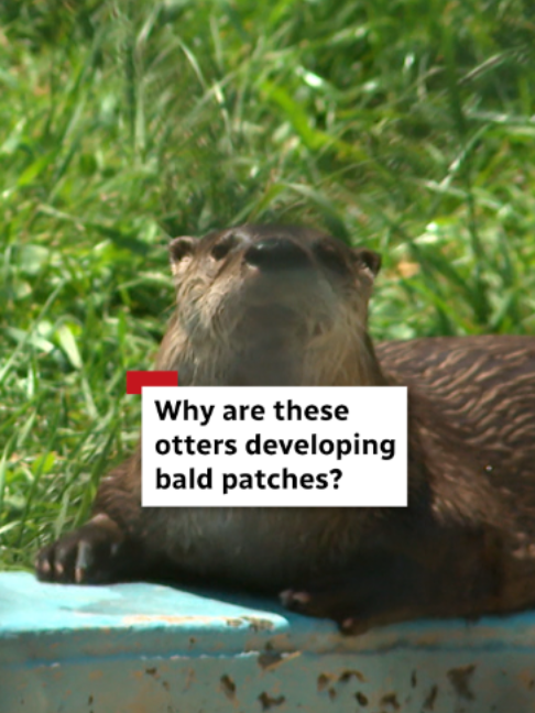 @CBC Nova Scotia