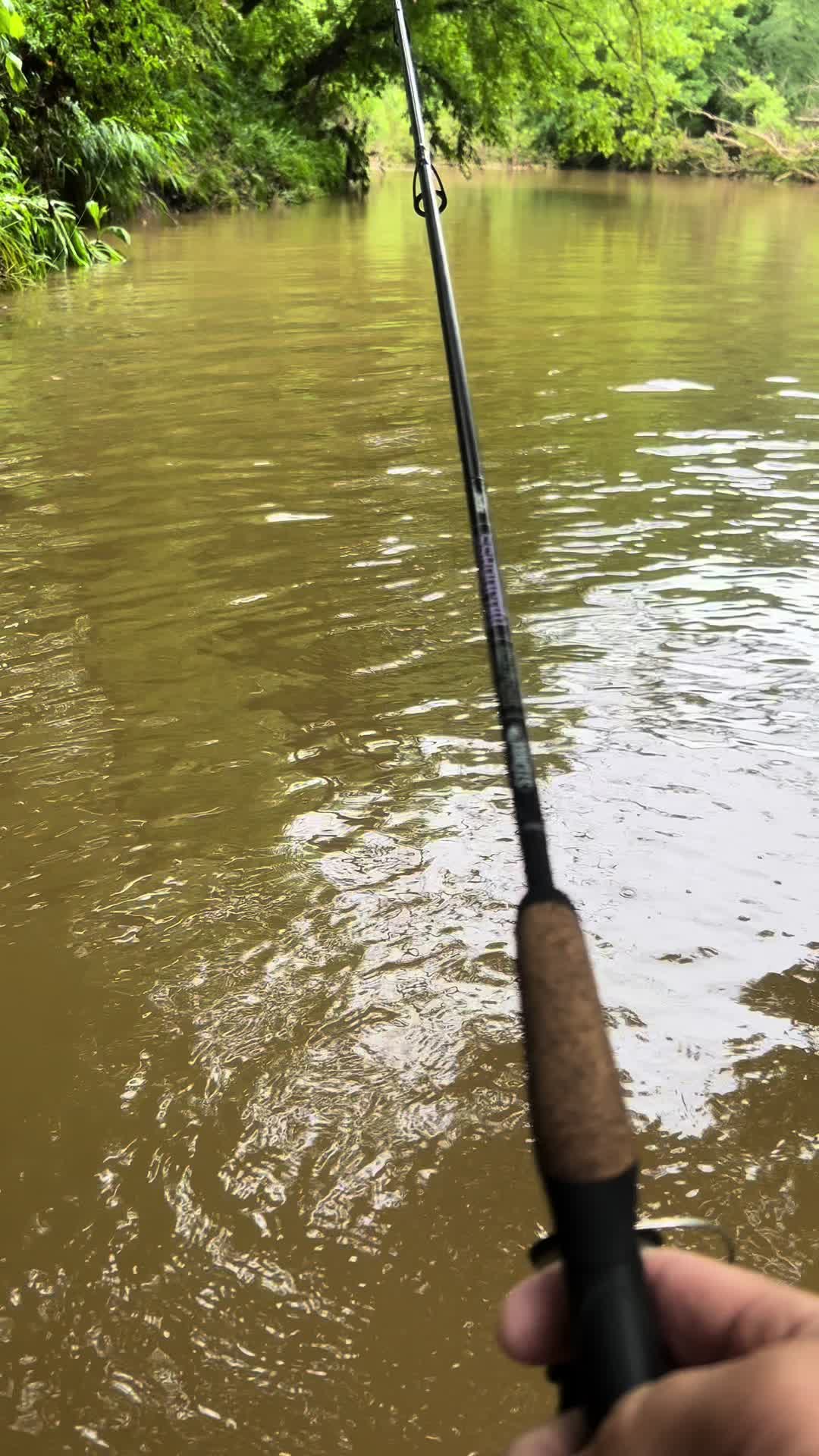 @Creek Seeker Outdoors