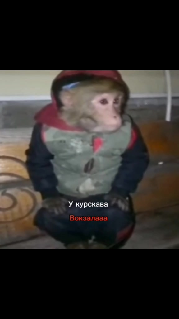 @МОНОЛИТОВЕЦЬ 1986 2.0