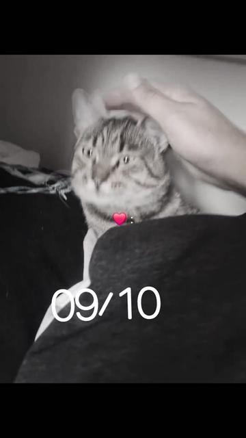 @Bajkerka♡